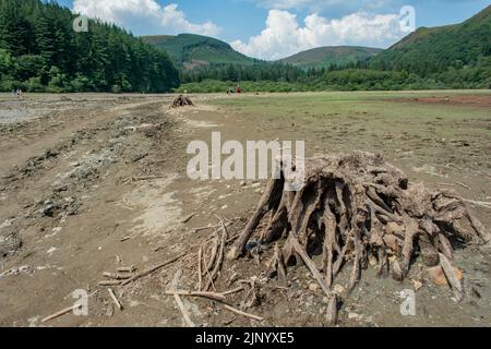 Nach einem langen, heißen Sommer 2022 beginnen nun die zurückgehenden Gewässer am Lake Vyrnwy-Staudamm alte Straßen und Gebäude im versunkenen Dorf zu enthüllen. Stockfoto