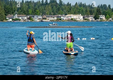 Issaquah, Washington, USA. Zwei Frauen knien auf ihren Paddleboards, plaudern und paddeln im Lake Sammamish entlang. Stockfoto