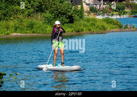 Issaquah, Washington, USA. Frau, die auf dem Lake Sammamish Paddleboarding steht. Stockfoto