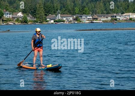 Issaquah, Washington, USA. Frau, die auf dem Lake Sammamish Paddleboarding steht. Stockfoto