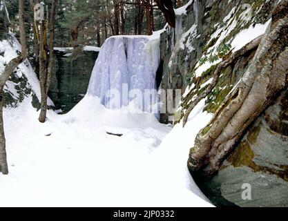 Die 22 Meter hohen Hector Falls fließen über massive Sandsteinfelsen im Allegheny National Forest in Pennsylvania. Stockfoto