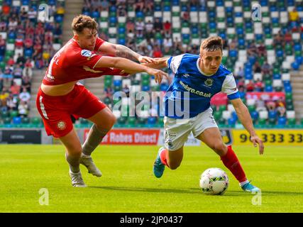 Joel Cooper in Aktion - Linfield vs Portadown, Windsor Park Belfast, Sonntag, 14.. August 2022 Stockfoto