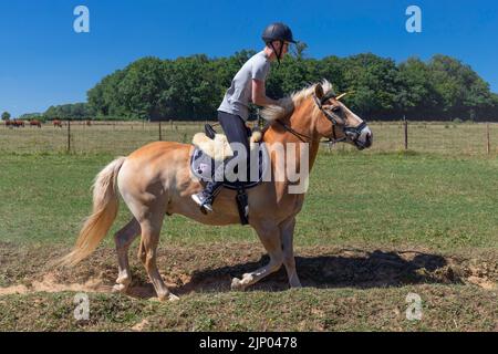 Europa, Luxemburg, Limpach, Bogenschießen Event am 2022. Juli mit einem männlichen Konkurrenten in der Beginners' Group Stockfoto