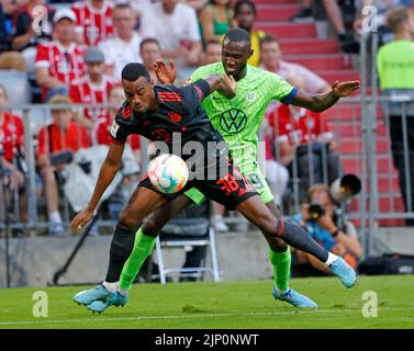 München, Deutschland. 14. August 2022. Ryan Gravenberch (L) von Bayern München spielt mit Josuha Guilavogui aus Wolfsburg während ihres Bundesliga-Fußballspiels in München am 14. August 2022. Quelle: Philippe Ruiz/Xinhua/Alamy Live News Stockfoto