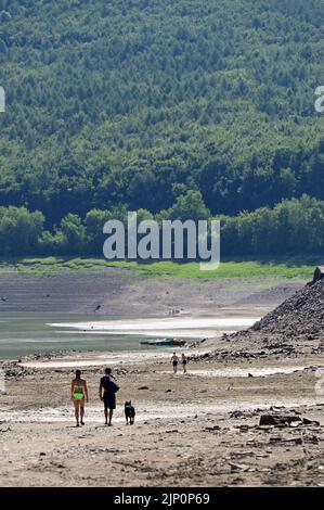 Bringhausen, Deutschland. 11. August 2022. Edersee Touristen sind in Bringhäuser Bay unterwegs. Das größte Hessische Reservoir ist aufgrund der Dürre und der Wasserabgabe an die Weser-Navigation nur zu 20 Prozent voll. Quelle: Uwe Zucchi/dpa/Alamy Live News Stockfoto