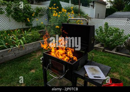 Helles Brennen in Metallkästchen Protokolle Brennholz für Grill im Freien an sonnigen Tag. Orange hohe Flamme und weißer Rauch auf verschwommenem blauen Himmel und grünem Gras Stockfoto