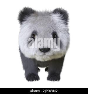 3D Illustration Panda cub isolierter weißer Hintergrund Stockfoto