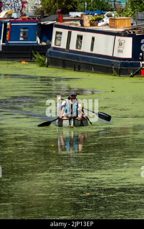 Foto zeigt: Hellgrüne Algen auf dem Fluss Lea bei Hackney Wick heute London 14.8.22 Kanufahren den Fluss entlang an heißen Tagen an den Lastkähnen vorbei Bild Stockfoto