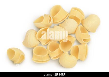 Lumaconi Pasta isoliert auf weißem Hintergrund mit voller Schärfentiefe. Stockfoto