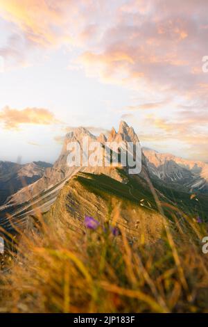 Atemberaubende Aussicht auf den Seceda-Grat bei einem wunderschönen Sonnenuntergang. Die Seceda mit ihren 2,500 Metern ist der höchste Aussichtspunkt in Gröden, Dolomiten. Stockfoto