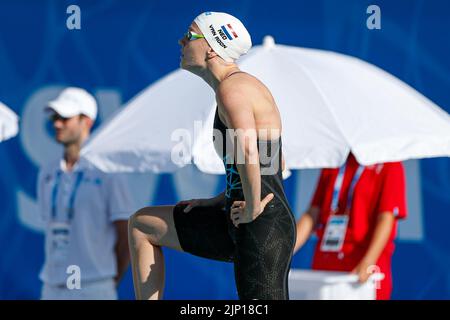 Rom, Italien. 15. August 2022. ROM, ITALIEN - 15. AUGUST: Valerie van Roon aus den Niederlanden während der Frauen-Kür 50m beim European Aquatics Roma 2022 im Stadio del Nuoto am 15. August 2022 in Rom, Italien (Foto von Nikola Krstic/Orange Picles) NOCNSF Credit: Orange Pics BV/Alamy Live News Stockfoto