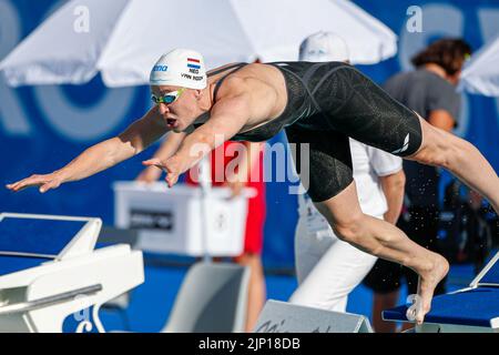 Rom, Italien. 15. August 2022. ROM, ITALIEN - 15. AUGUST: Valerie van Roon aus den Niederlanden während der Frauen-Kür 50m beim European Aquatics Roma 2022 im Stadio del Nuoto am 15. August 2022 in Rom, Italien (Foto von Nikola Krstic/Orange Picles) NOCNSF Credit: Orange Pics BV/Alamy Live News Stockfoto