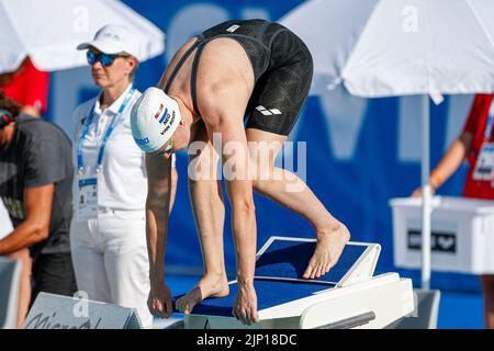 Rom, Italien. 15. August 2022. ROM, ITALIEN - 15. AUGUST: Valerie van Roon aus den Niederlanden während der Frauen-Kür 50m beim European Aquatics Roma 2022 im Stadio del Nuoto am 15. August 2022 in Rom, Italien (Foto von Nikola Krstic/Orange Picles) NOCNSF Credit: Orange Pics BV/Alamy Live News Stockfoto