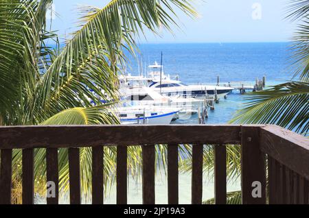 Blick auf Meer, Palmen und Yachten vom Balkon des Hauses am Strand. Zimmer mit Meerblick. Reise-, Resort-, Urlaubs- und Urlaubskonzept. Blick auf das tropische Meer von ver Stockfoto