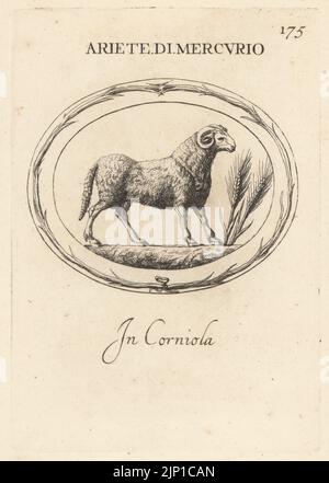 RAM des römischen gottes Merkur mit Ähren aus Weizen. In Karneol. Ariete di Mercurio. In Corniola. Kupferstich von Giovanni Battista Galestruzzi nach Leonardo Agostini aus Gemmae et Sculpturae Antiquae Depicti ab Leonardo Augustino Senesi, Abraham Blooteling, Amsterdam, 1685. Stockfoto