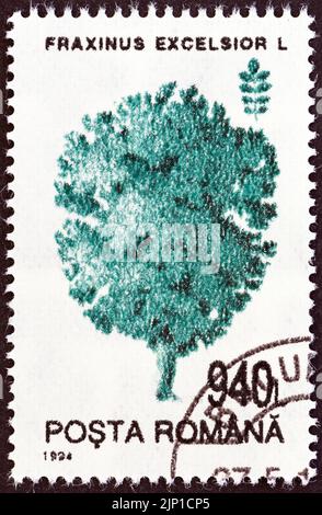 RUMÄNIEN - UM 1994: Eine in Rumänien gedruckte Briefmarke aus der 'Trees'-Ausgabe zeigt Ash, um 1994. Stockfoto