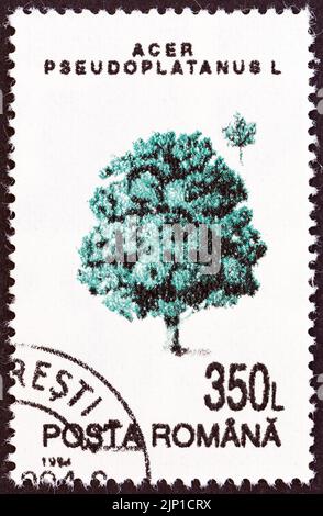 RUMÄNIEN - UM 1994: Eine in Rumänien gedruckte Briefmarke aus der 'Trees'-Ausgabe zeigt Sycamore, um 1994. Stockfoto