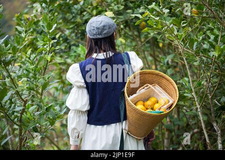 Asiatische Frau arbeiten und reisen in Zitronenfarm mit Bauernmode und Accessoires Stockfoto