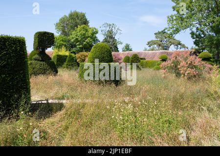 Großer Dixter-Topiarrasen, Northiam, Rye, East Sussex Stockfoto