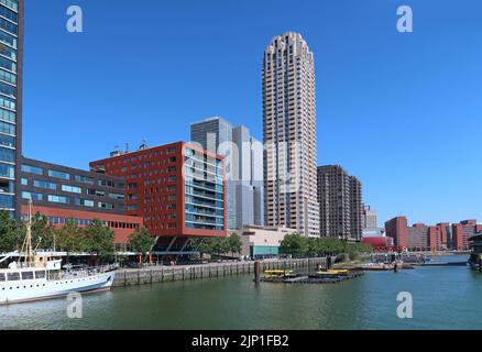 Rotterdam, Niederlande. Blick nach Norden über das Wasser von Rijnhaven in Richtung der neuen Wohntürme auf der Wilhelminapier. Stockfoto