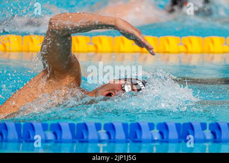 Rom, Italien. 15. August 2022. ROM, ITALIEN - 15. AUGUST: Domenico Acerenza von Italien während der Kür 1500m beim European Aquatics Roma 2022 im Stadio del Nuoto am 15. August 2022 in Rom, Italien (Foto von Nikola Krstic/Orange Picics) Credit: Orange Pics BV/Alamy Live News Stockfoto