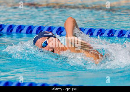 Rom, Italien. 15. August 2022. ROM, ITALIEN - 15. AUGUST: Henrik Christiansen aus Norwegen während der Kür 1500m beim European Aquatics Roma 2022 im Stadio del Nuoto am 15. August 2022 in Rom, Italien (Foto von Nikola Krstic/Orange Picics) Credit: Orange Pics BV/Alamy Live News Stockfoto