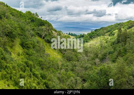 Ein ausgedehnter Blick über das Tal von Smardale an einem sonnigen und kalten Sommertag im August Stockfoto