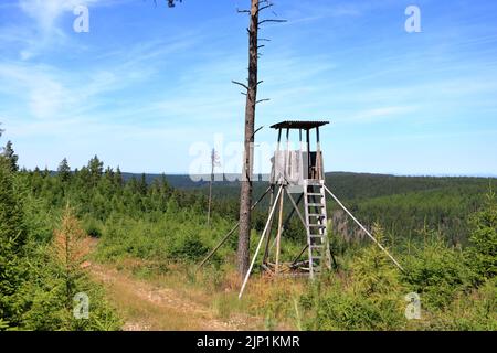 Ein Jagdturm im Wald. Hölzerner Jäger Hide hoher Wachturm. Hunter's Beobachtungspunkt im Wald in Europa Stockfoto