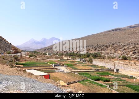 Verlassene Dorfruinen von Riwaygh as-Safil mit einer Oase darunter auf der Straße zwischen Al Hambra und Jebel Shams im Sultanat Oman Stockfoto