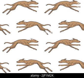 Vektor nahtloses Muster von Whippet Hund Stock Vektor