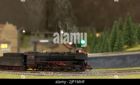 Ein Modellzug, der im Wald entlang von Gleisen fährt. Ein Modell eines Zuges fährt die Miniatureisenbahn hinunter. Stockfoto