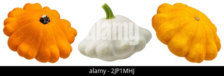 Pattypan Squash isoliert auf weißem Hintergrund Stockfoto