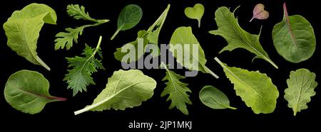 Sammlung von Salatblättern isoliert auf schwarzem Hintergrund Stockfoto
