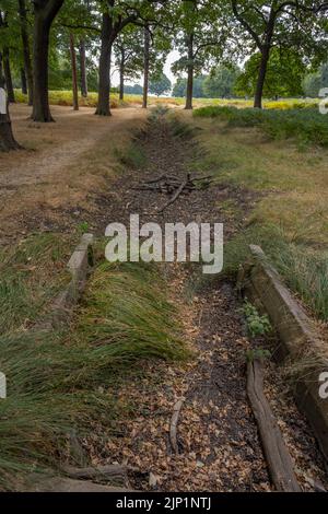 Richmond Park, London, Großbritannien. 15. August 2022. Ausgetrockneter Wasserkanal im Richmond Park während der Hitzewelle. Gewitterprognosen für den späten Dienstag und Mittwoch in der Region. Quelle: Malcolm Park/Alamy Live News Stockfoto