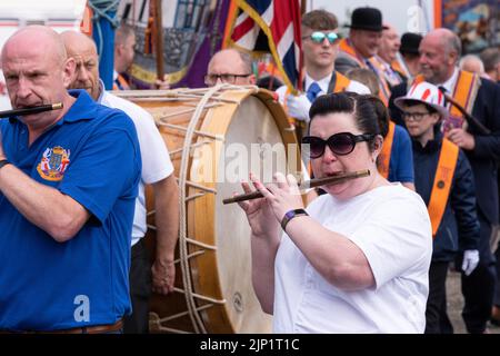 Ballymena, Großbritannien. 12. Juli 2022. Fifers und lambeg Trommeln, die das Feld in Ballymena während der jährlichen zwölften Parade verlassen. Stockfoto