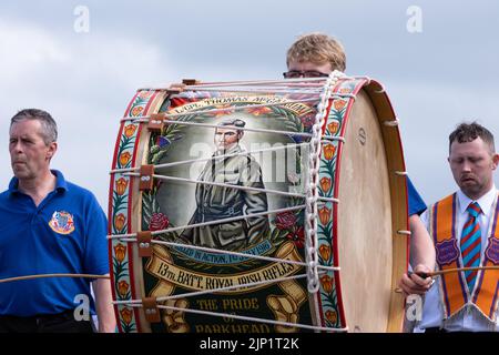 Ballymena, Großbritannien. 12. Juli 2022. Lambeg Drum - der Stolz des Parkhead, der eine Lodge des Orangenen Ordens bei der jährlichen zwölften Parade begleitet. Stockfoto