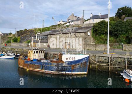 Whitby Fishing Boat, Pamela S WY-38 in Amlwch Harbour, Anglesey, North Wales, Stockfoto