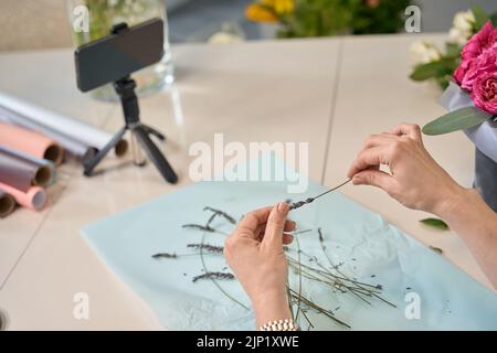 Nahaufnahme der weiblichen Hände mit Lavendel. Online-Masterclass Stockfoto