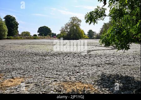 Brighton, Großbritannien. 15. August 2022. Der alte sächsische Teich im Dorf Falmer am Stadtrand von Brighton ist vollständig ausgetrocknet, da die Hitzewelle und Dürrebedingungen im Südosten andauern : Credit Simon Dack/Alamy Live News Stockfoto