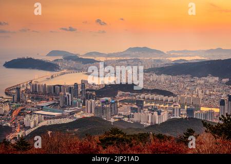 Skyline von Busan, Südkorea von oben in der Abenddämmerung. Stockfoto