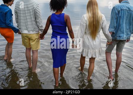 Multirassische Gruppe junger Freunde, die im Sommer die Hände halten und im See stehen. Rückansicht, Weitwinkelansicht. Stockfoto