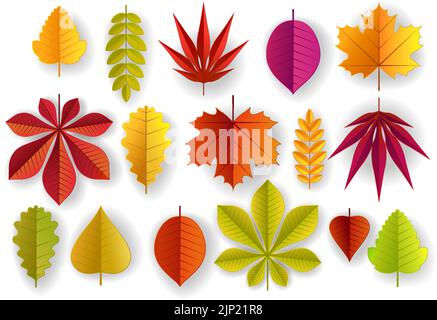 Papier geschnitten Herbstblätter. Vektor-Illustration von schönen mehrfarbigen Ahorn, Eiche, Eberesche, Birke und andere Blätter isoliert auf weißem Hintergrund. Stock Vektor