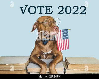 Wahlen In Den Vereinigten Staaten. Liebenswerter, hübscher Hund mit amerikanischer Flagge. Nahaufnahme, innen. Studio-Foto. Haustierpflegekonzept. Schöne Einladungskarte für Stockfoto