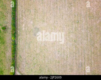 North Yorkshire, Großbritannien. 15.. August 2022.Luftaufnahme einer Drohne auf trockene und karge landwirtschaftliche Felder außerhalb von Harrogate in North Yorkshire während der Hitzewelle und Dürre des Sommers 2022. Stockfoto