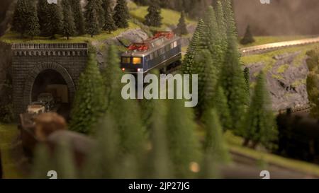 Modell der Dampfeisenbahn verlässt den Tunnel. Modell der elektrischen Lokomotive, die sich auf der Eisenbahn zwischen Tannen in den Bergen bewegt. Eisenbahnmodellierung in Europa. Stockfoto