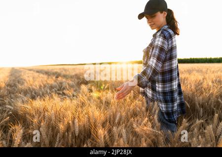 Die Bäuerin berührt auf einem landwirtschaftlichen Feld die Ähren des Weizens Stockfoto