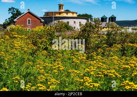 Die ikonische runde Steinscheune im Hancock Shaker Village Stockfoto