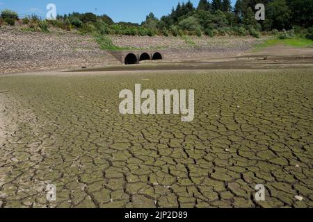 Wayoh Reservoir, Bolton Lancashire bei Trockenheit Stockfoto