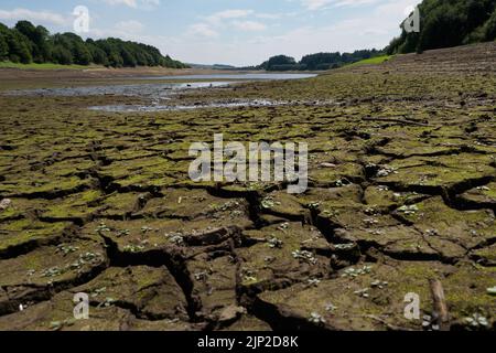 Wayoh Reservoir, Bolton Lancashire bei Trockenheit Stockfoto