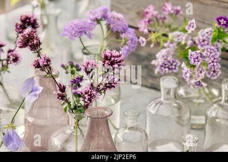 Dekoration von Glasvasen mit oreganolila Blumen Stockfoto